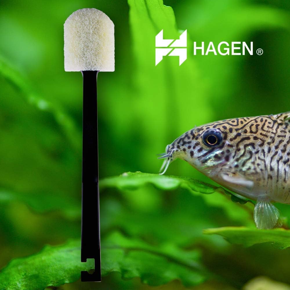 Marina Algae Scrub Brush Medium