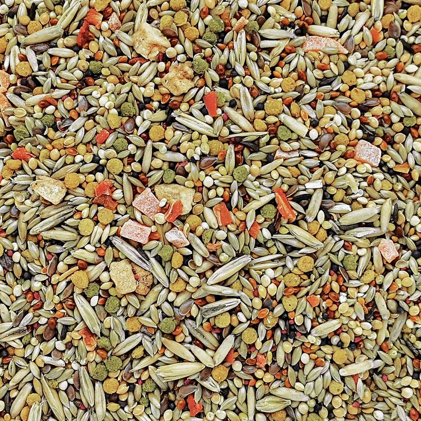 Hari Gourmet Budgie Seed Mix 1kg