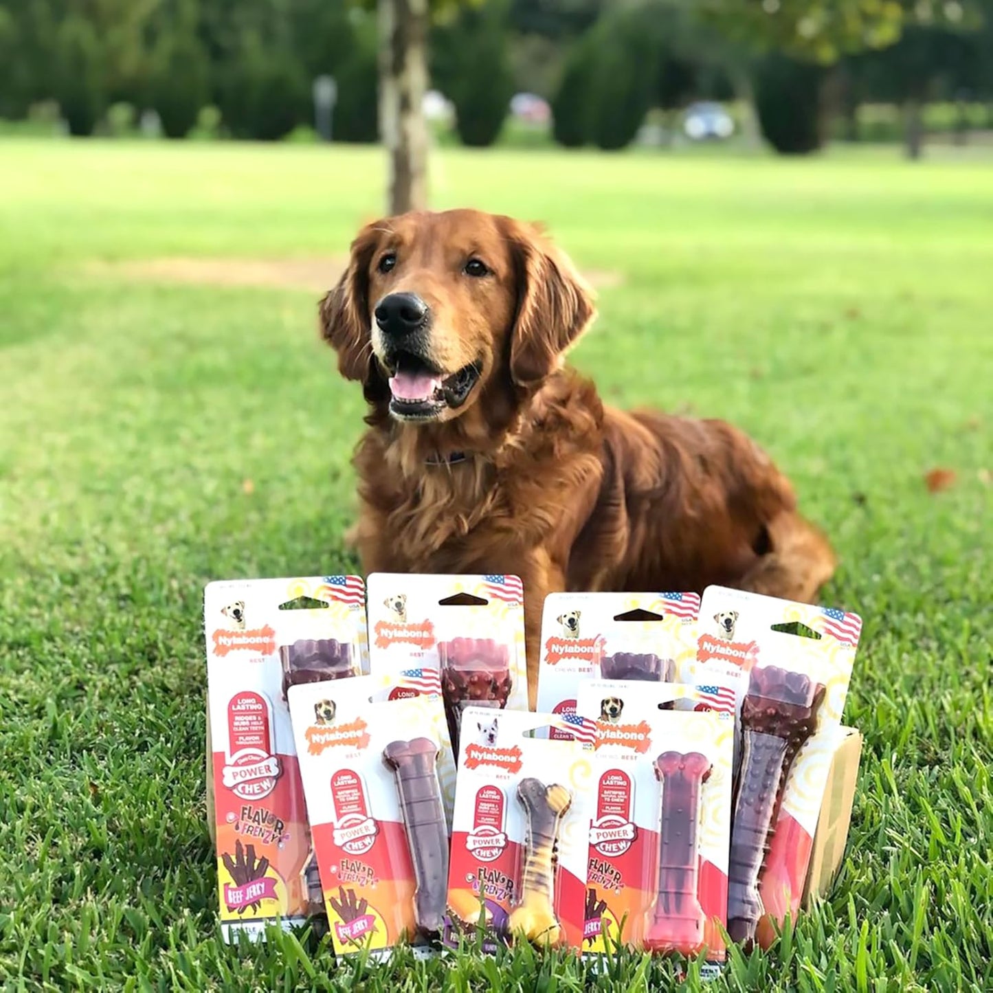 Nylabone Beef Jerky Wolf