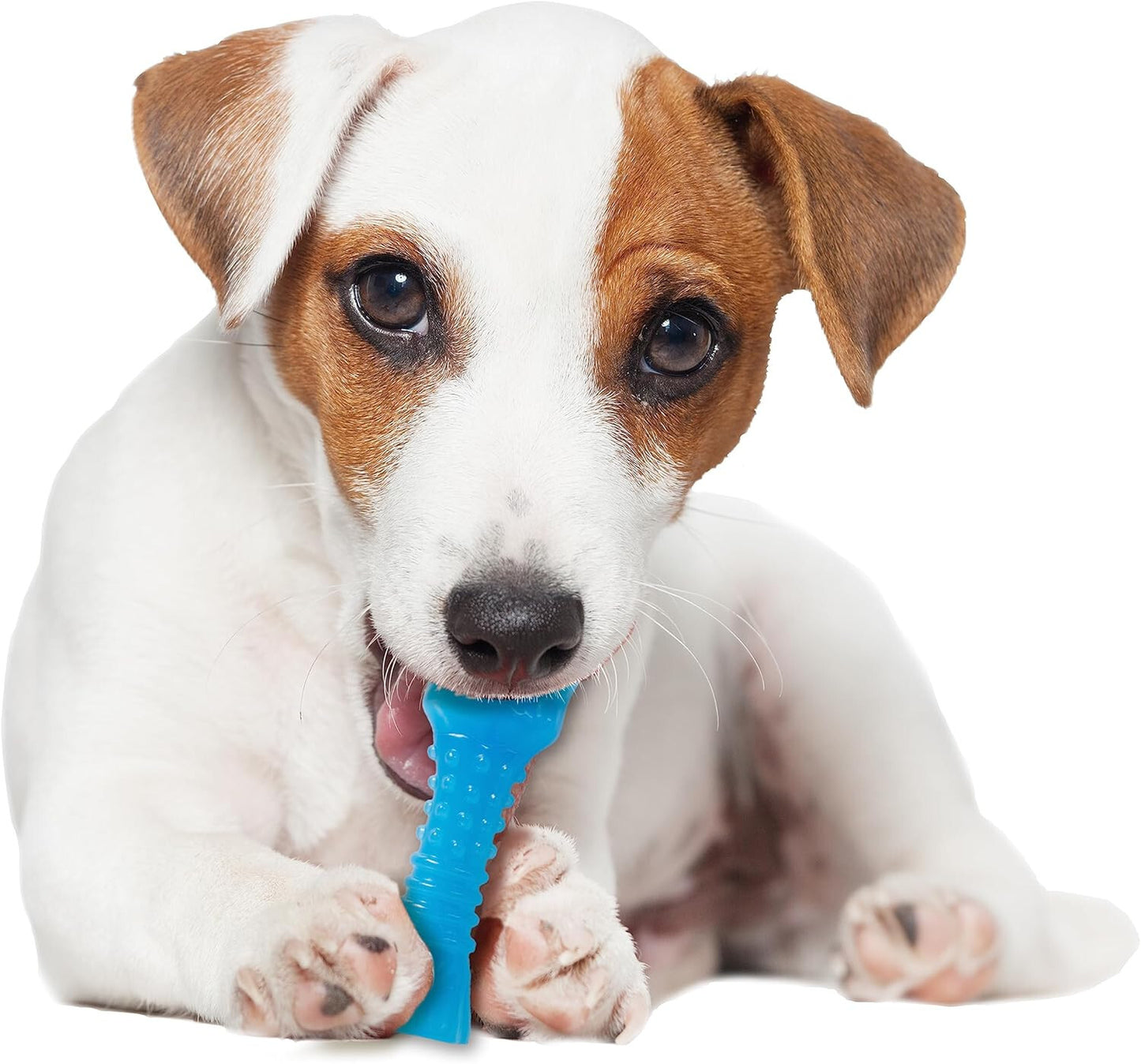 Nylabone Chill To The Max Bacon Flavour Chew Bone