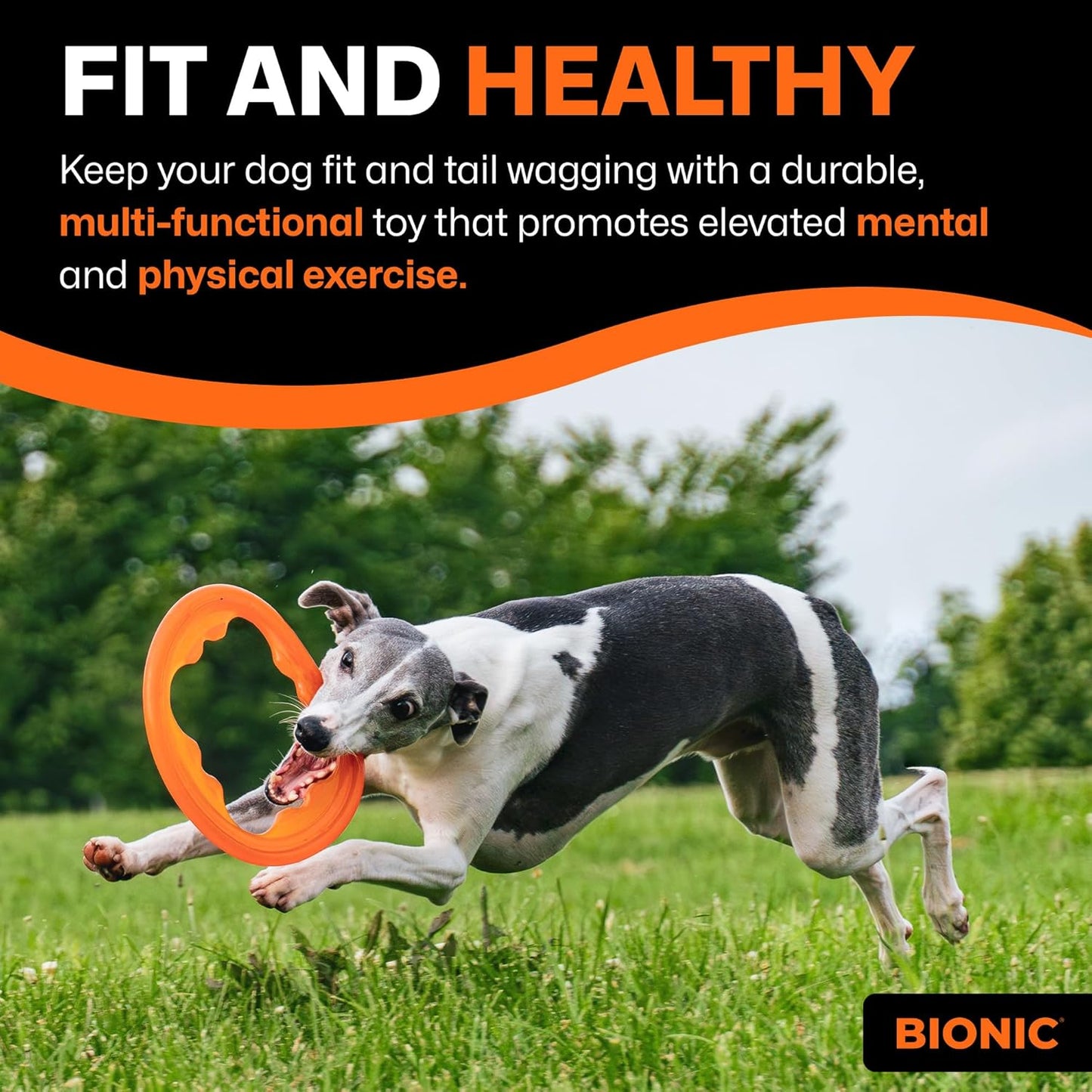 Bionic Toss-N-Tug Turbo 22.7cm