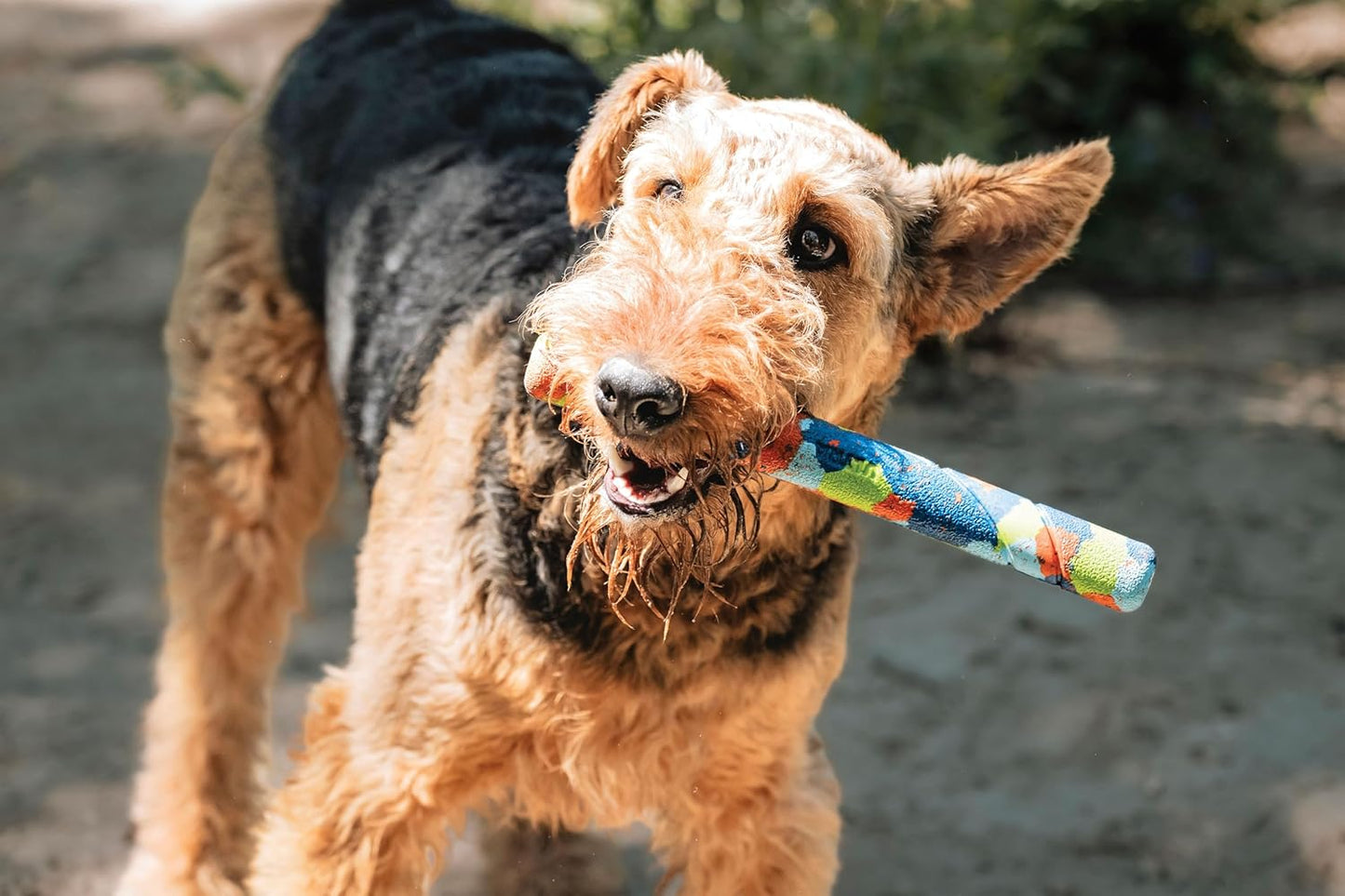 Chuckit! Eco Fetch Day Ultra Stick 1pc