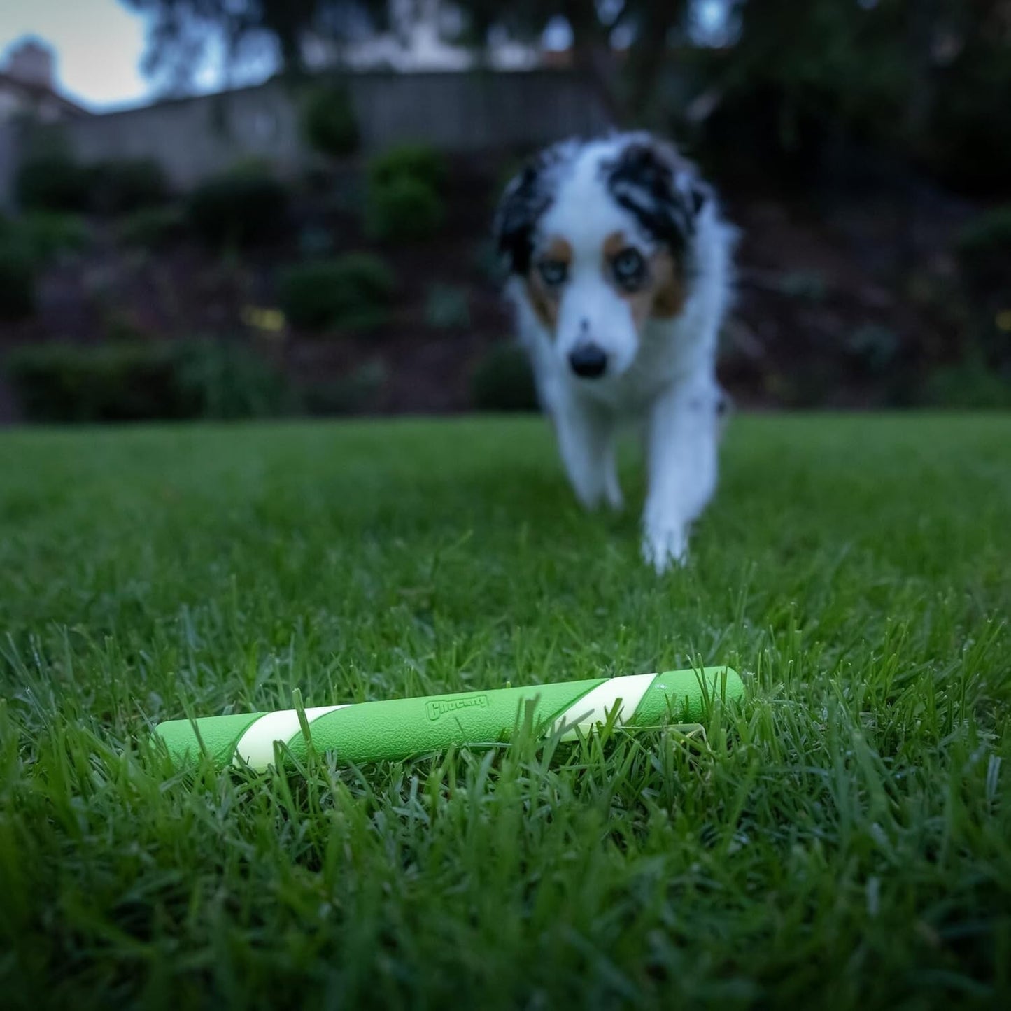 Chuckit! Max Glow Ultra Fetch Stick 28cm