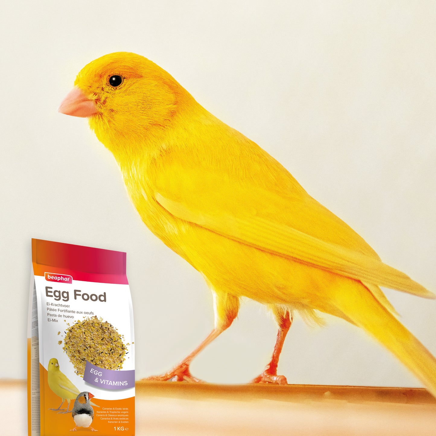 Beaphar Egg Food For Canaries & Finches 1kg