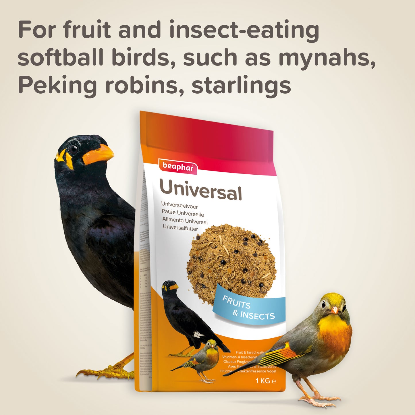 Beaphar Universal Mynah & Softbill Food 1kg