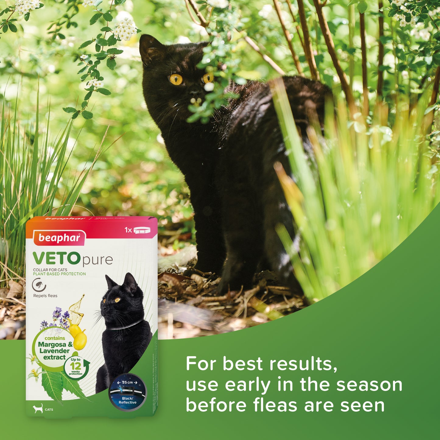Beaphar Vetopure Black Reflective Cat Collar