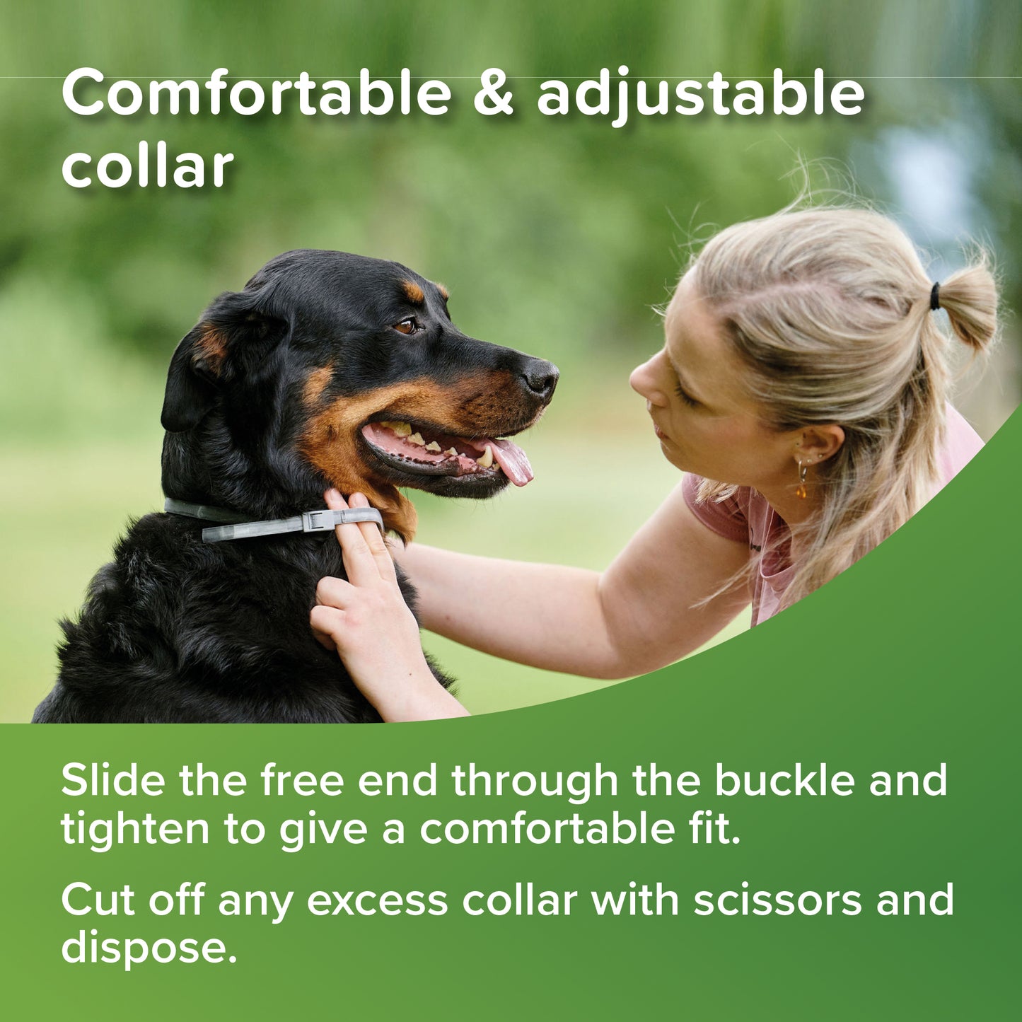 Beaphar VETOpure Plant-Based Flea & Tick Collar for Dogs (Green) – 65 cm, 12‑Week Protection