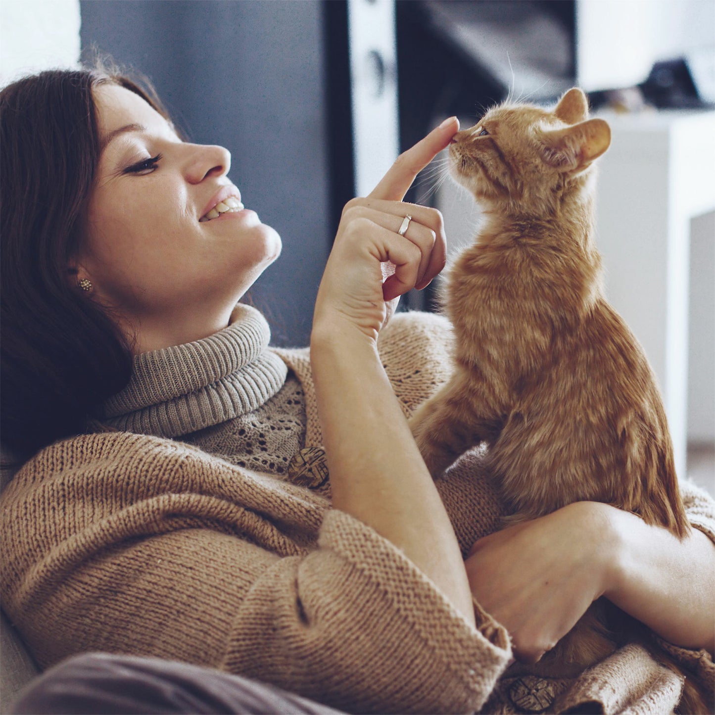 Beaphar Cat Calming Collar