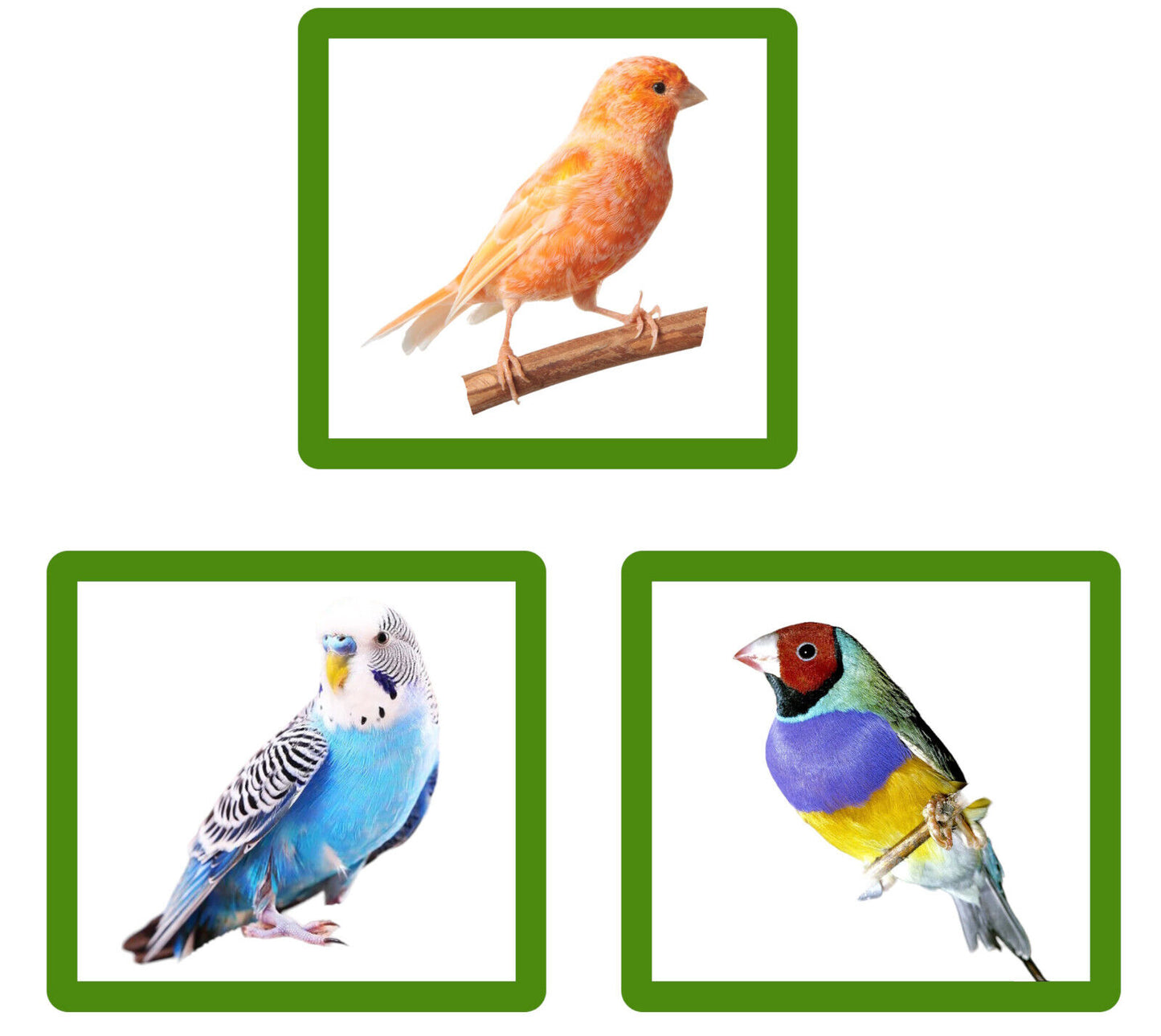 Wundapets Small Bird Travelling Cage White