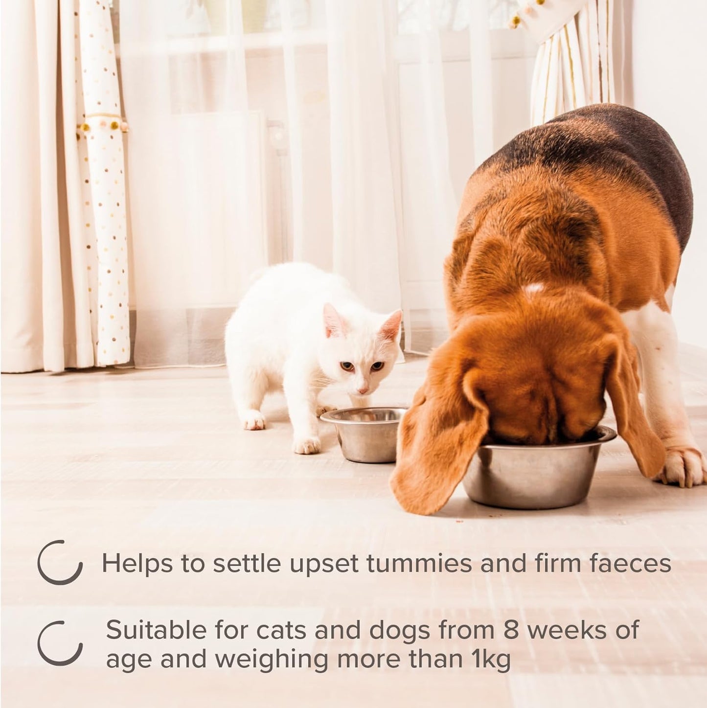 Beaphar IntestoPro Small Dog Cat 20 Tab