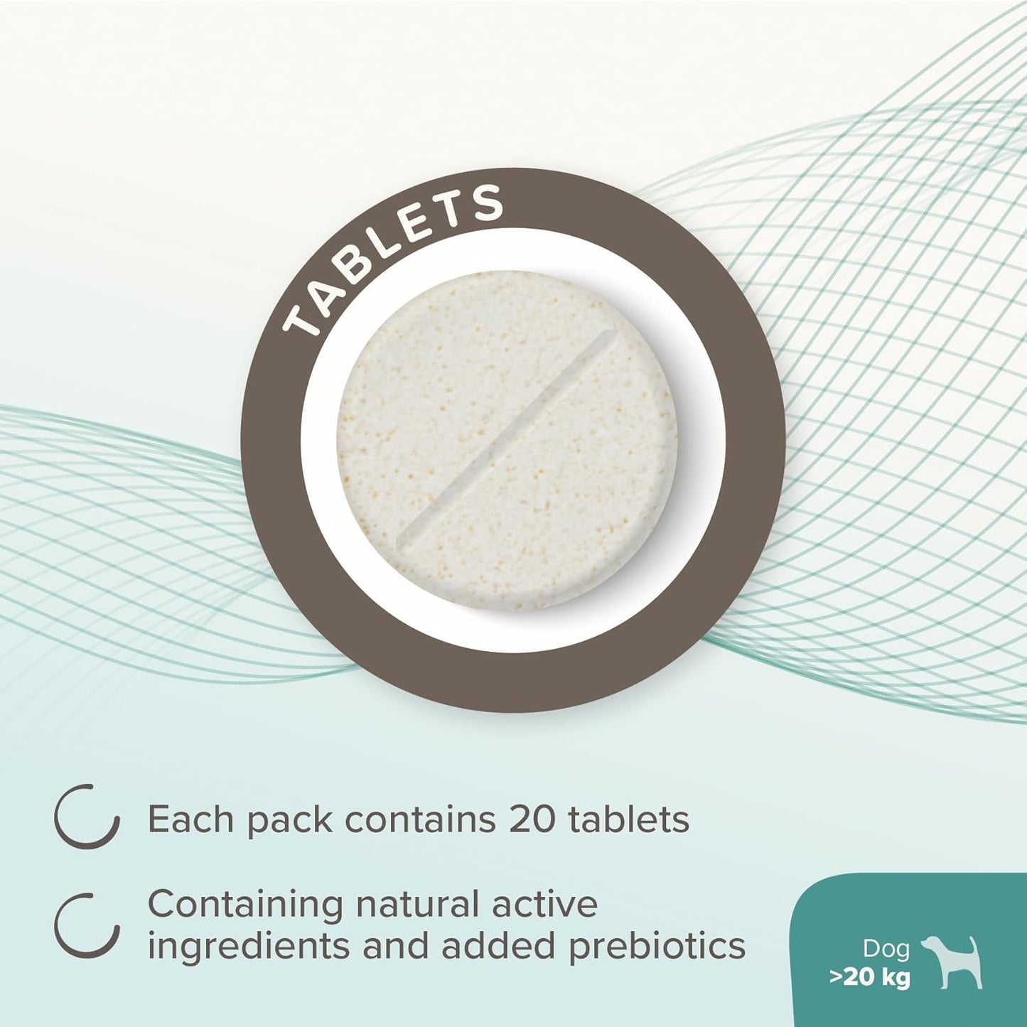 Beaphar IntestoPro Large Dog 20 Tab