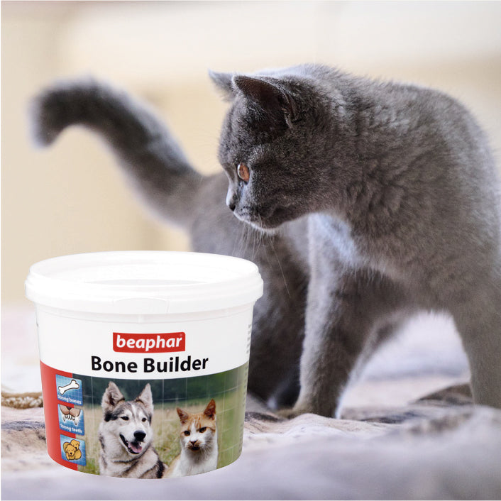 Beaphar Bone Builder 500g