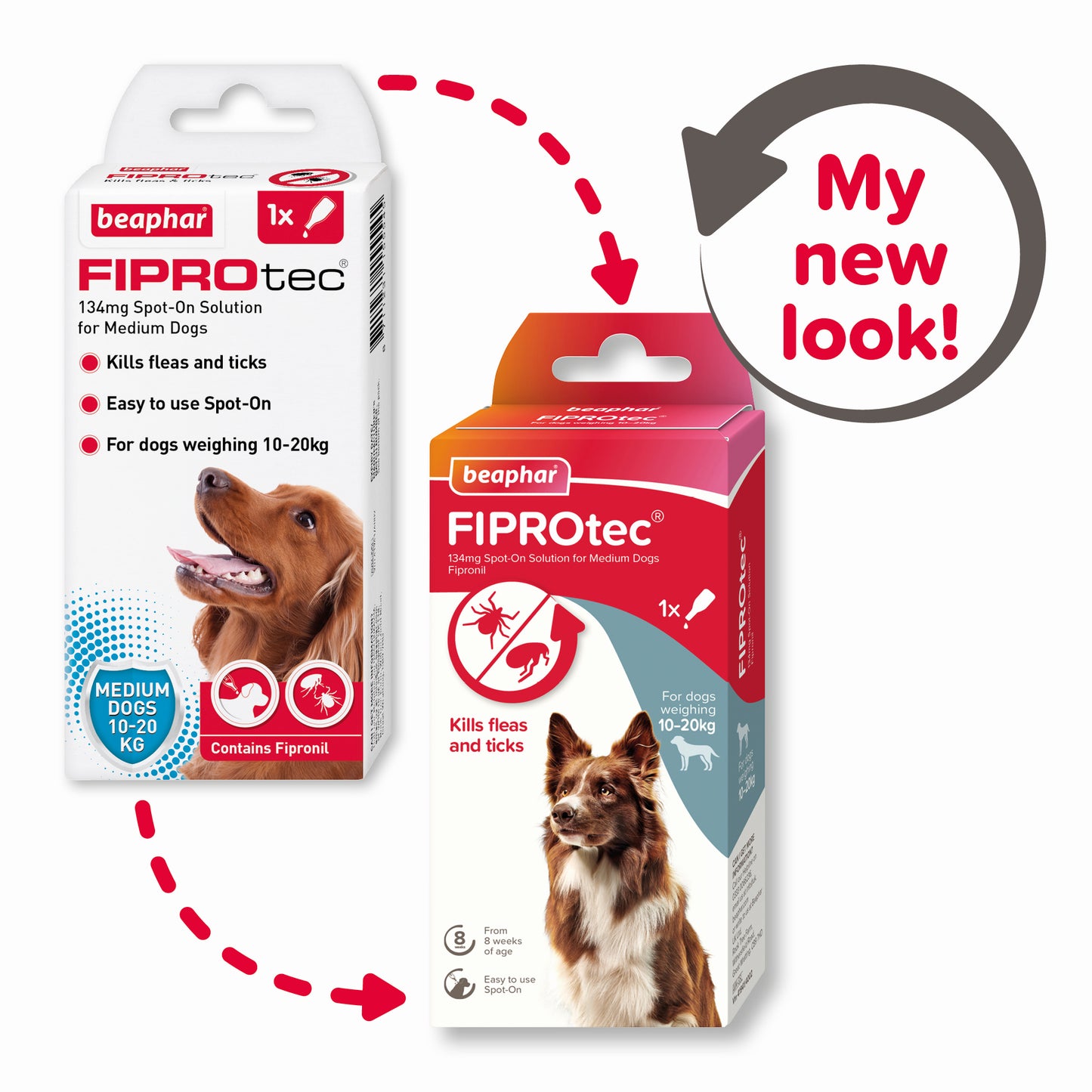 Beaphar Fiprotec Medium Dog 10- 20Kg 1 Treatment