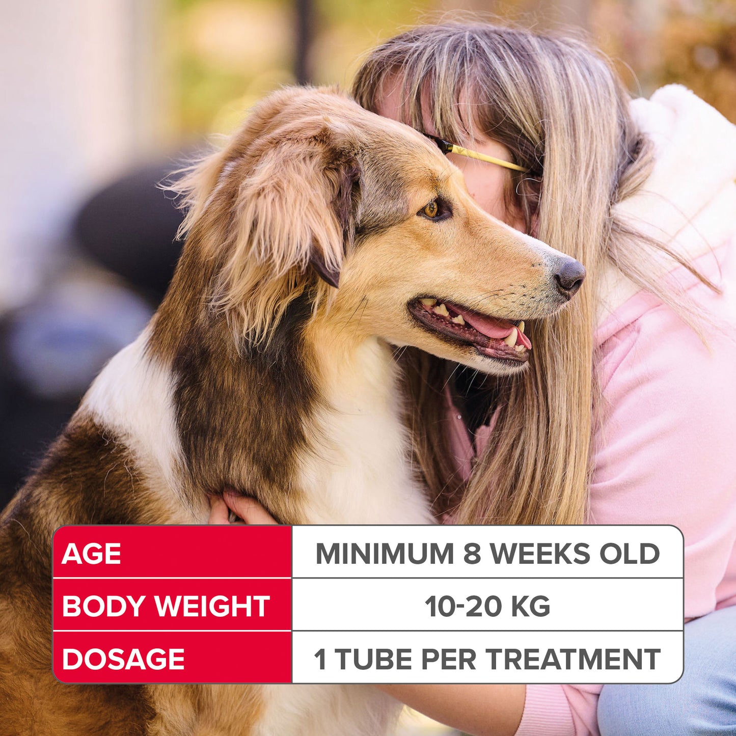 Beaphar Fiprotec Medium Dog 10- 20Kg 1 Treatment
