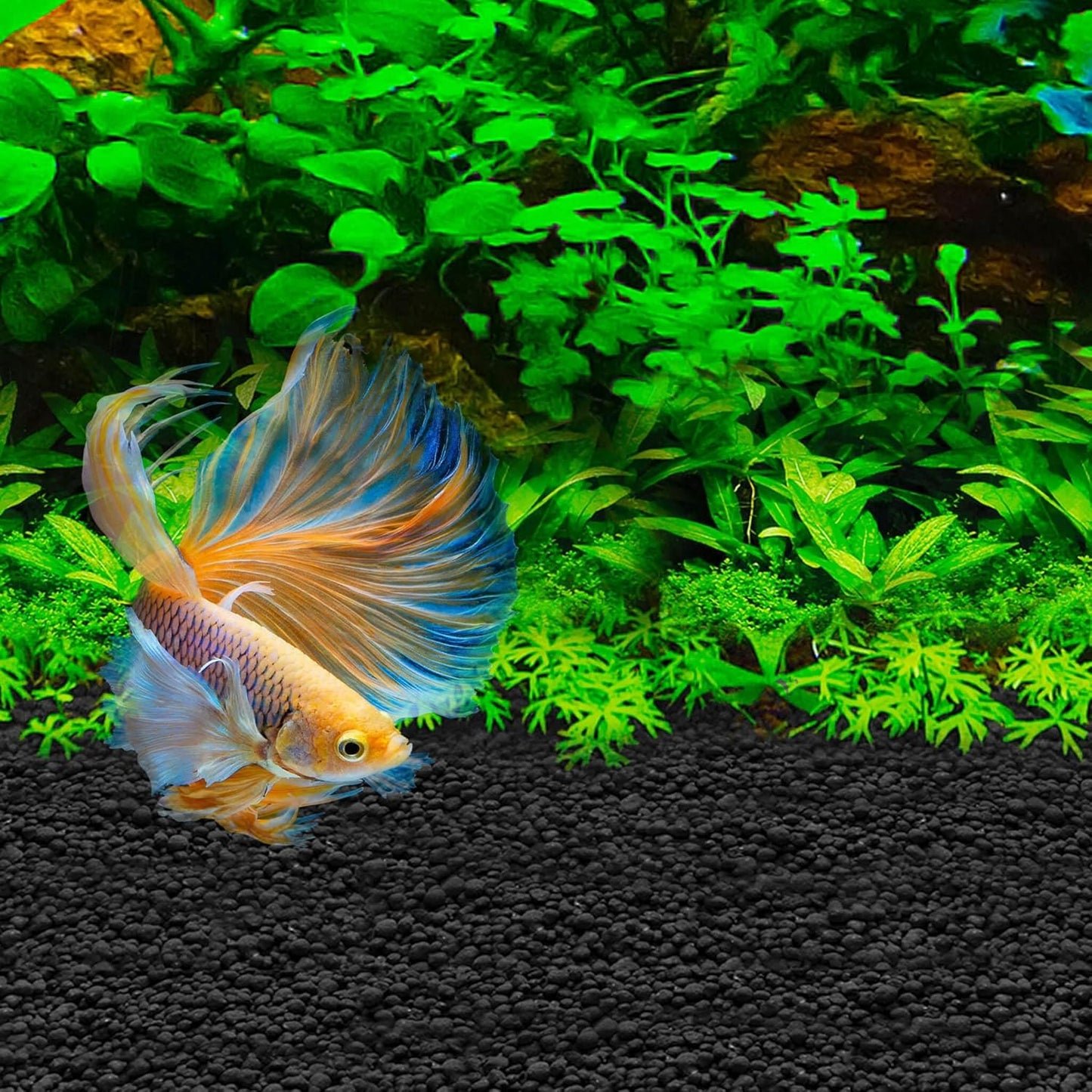 Fluval Betta Stratum 800g