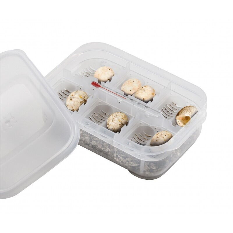 Exo Terra Incubation Egg Box