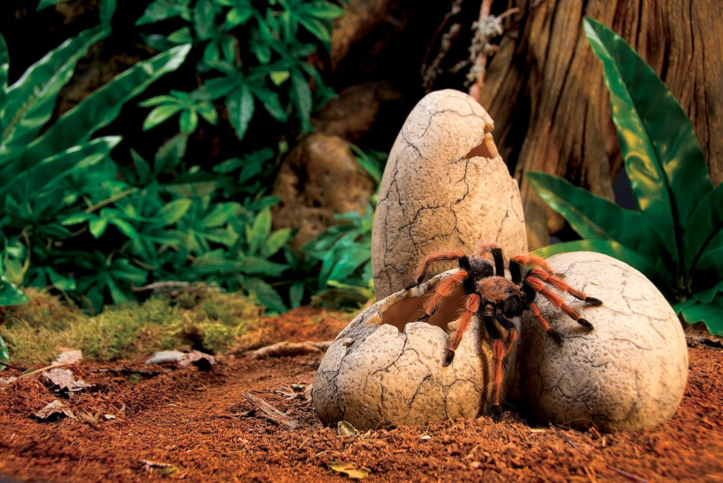 Exo Terra Dinosaur Eggs Hide Out