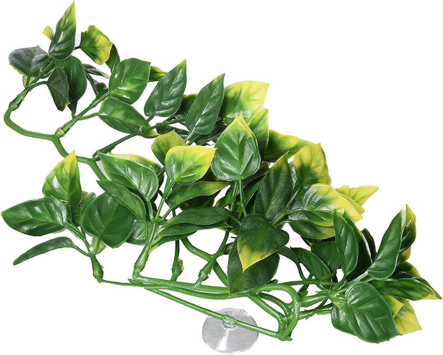 Exo Terra Amapallo Jungle Plant Small