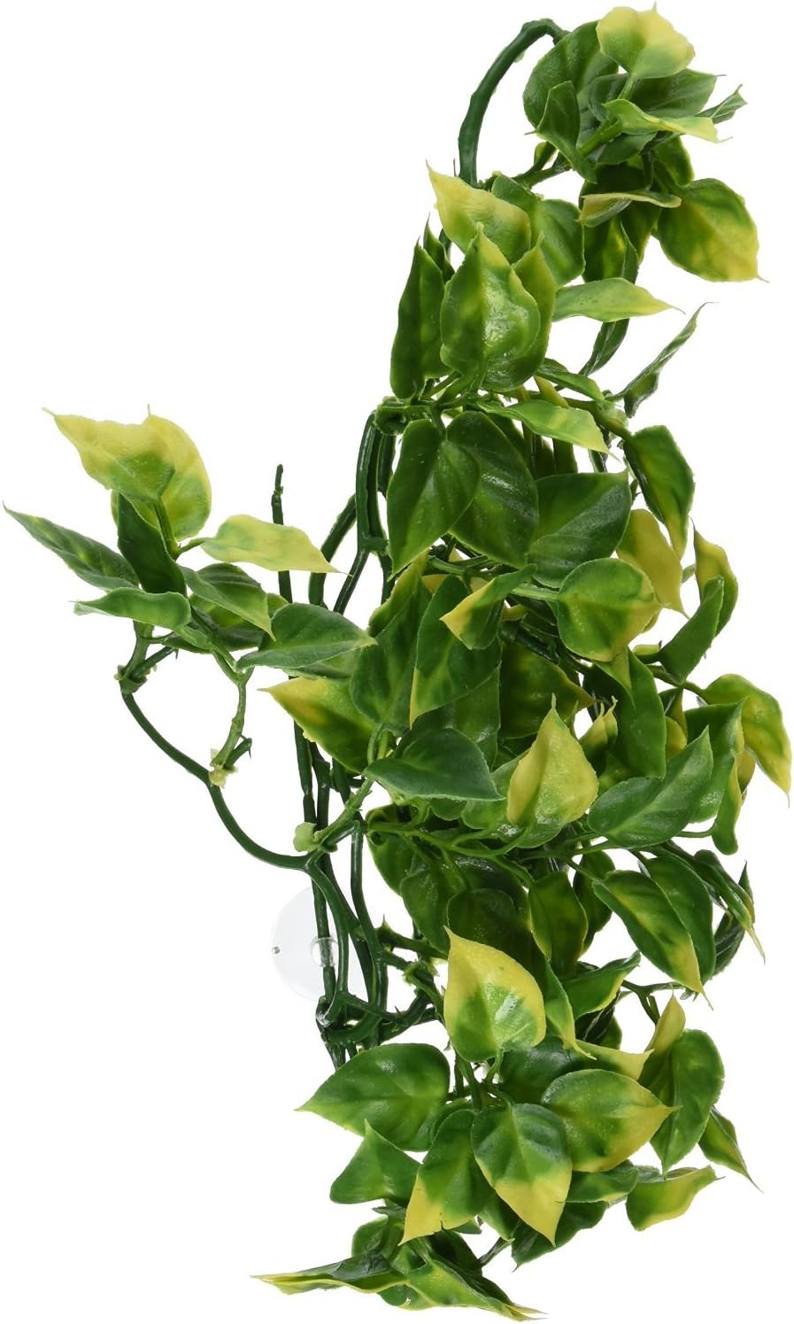 Exo Terra Amapallo Medium Jungle Plant