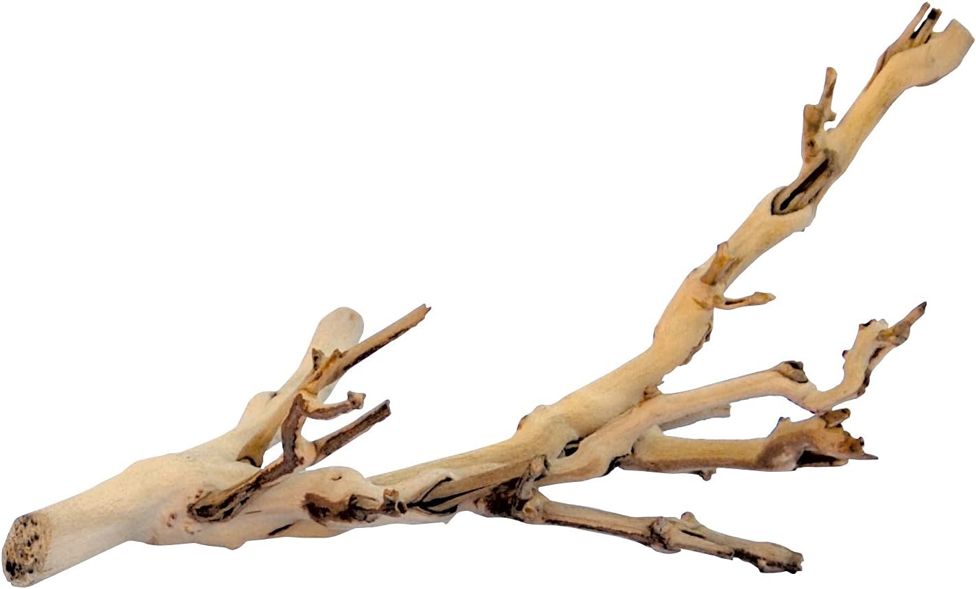 Exo Terra Forest Branch Small 30cm