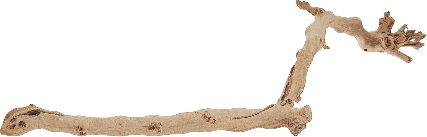 Exo Terra Forest Branch Large 60Cm