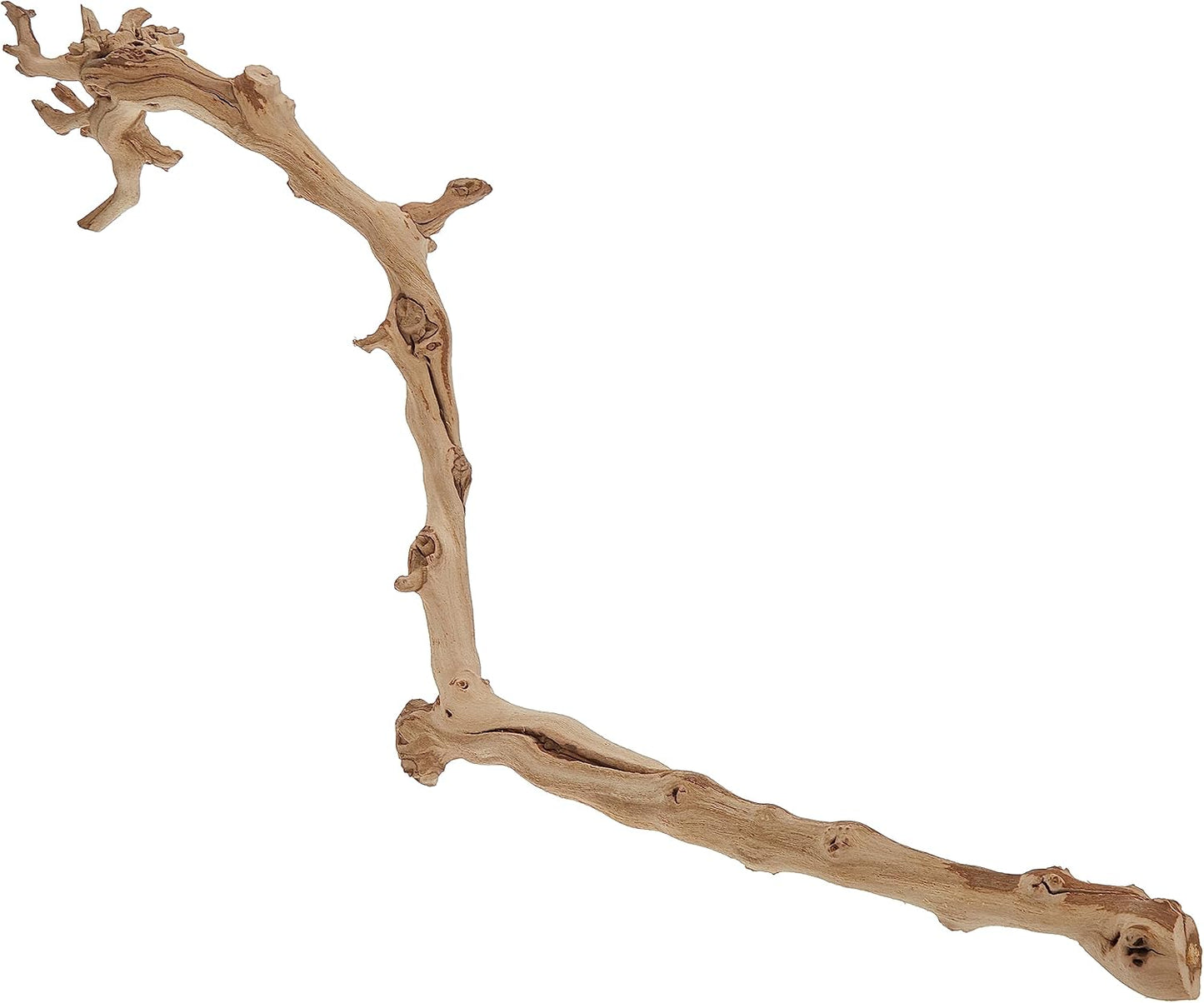 Exo Terra Forest Branch Large 60Cm