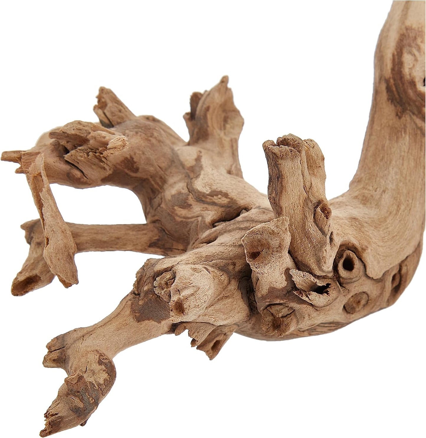 Exo Terra Forest Branch Large 60Cm