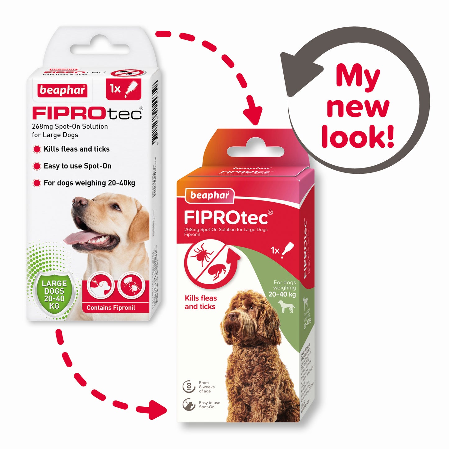 Beaphar Fiprotec Large Dog 20- 40Kg 1 Treatment
