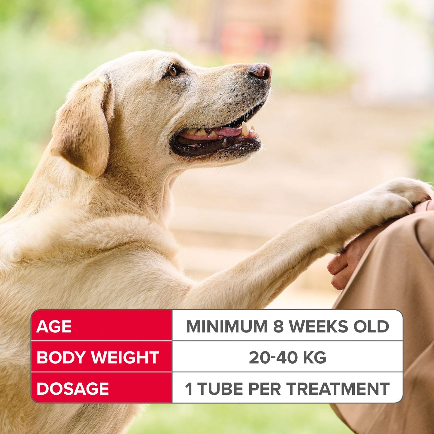 Beaphar Fiprotec Large Dog 20- 40Kg 1 Treatment