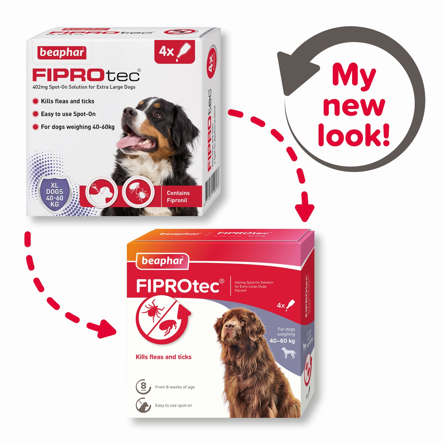 Beaphar Fiprotec Extra Large Dog 40- 60Kg 4 Treatments