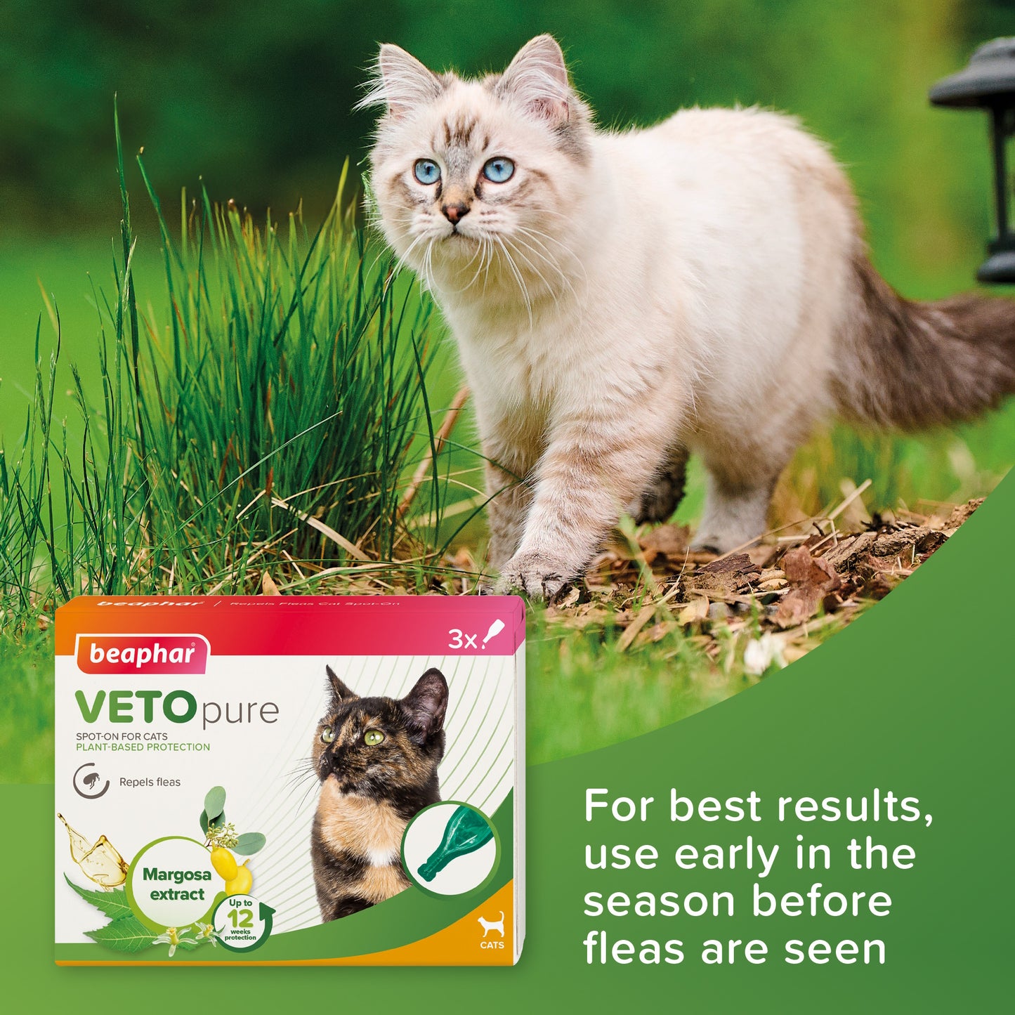 Beaphar VetoPure Cat Spot-On – 12 Week Flea & Tick Treatment, Natural Ingredients
