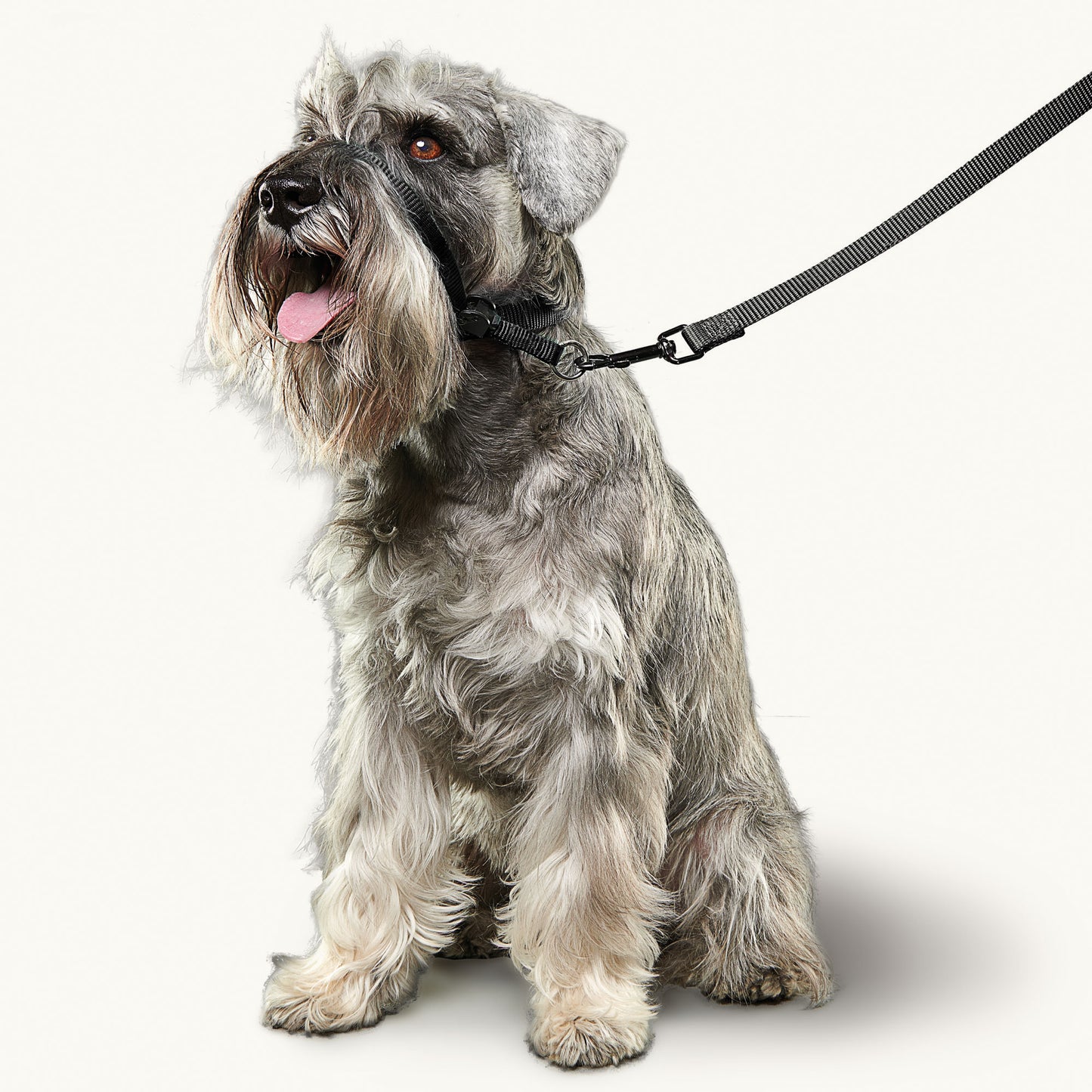 Beaphar Gentle Leader Small Black