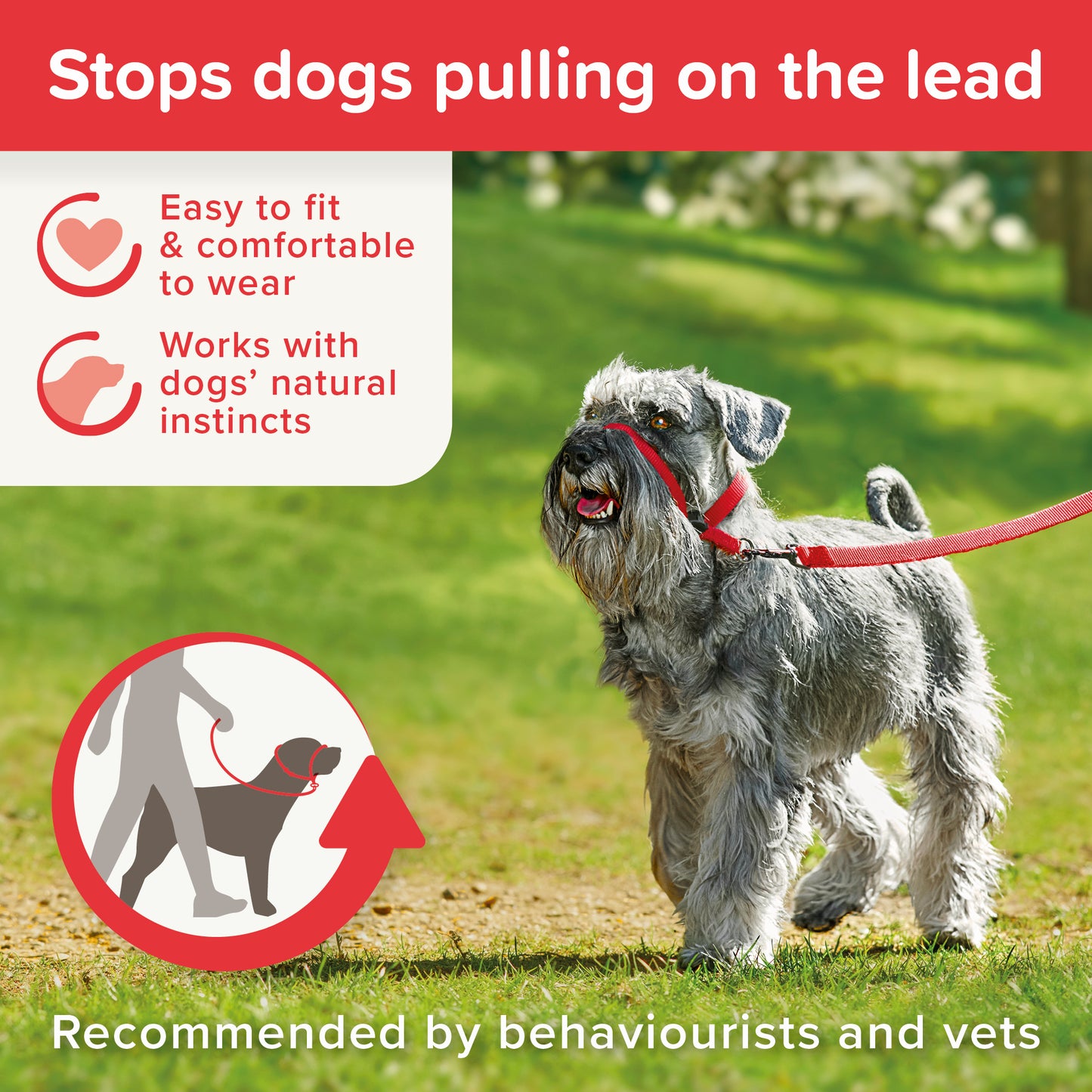 Beaphar Gentle Leader Small Red