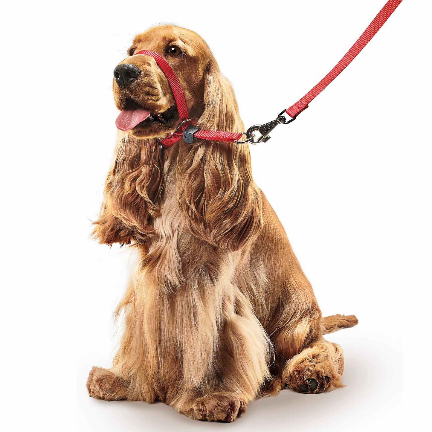 Beaphar Gentle Leader Medium Red