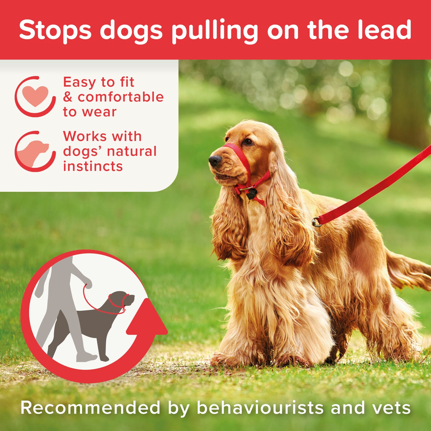 Beaphar Gentle Leader Medium Red