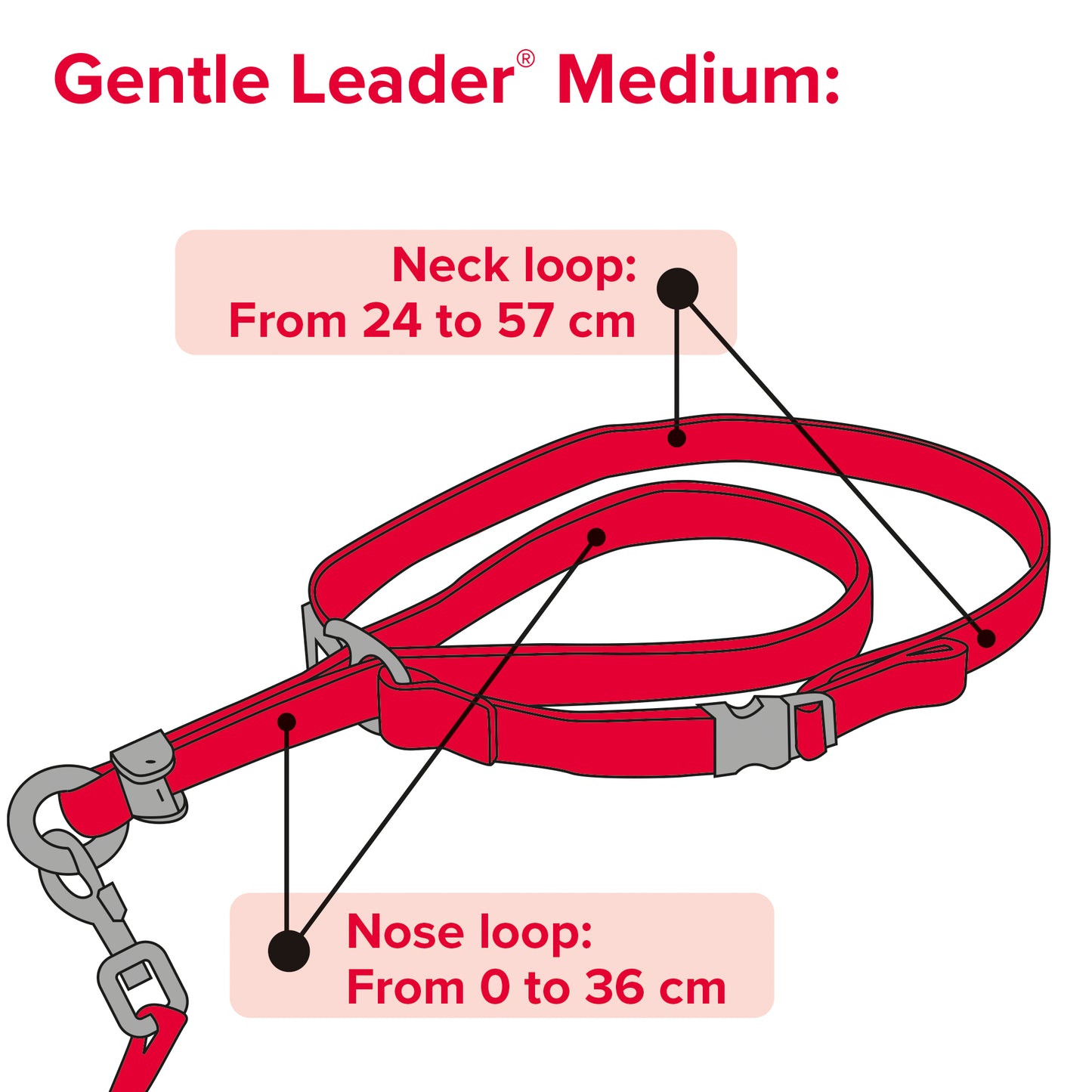 Beaphar Gentle Leader Medium Black