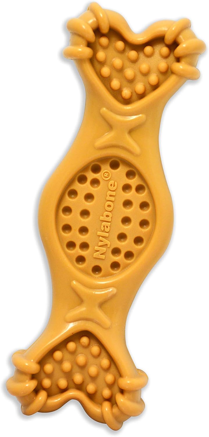 Nylabone Extreme Chew Fill It Treat Medium