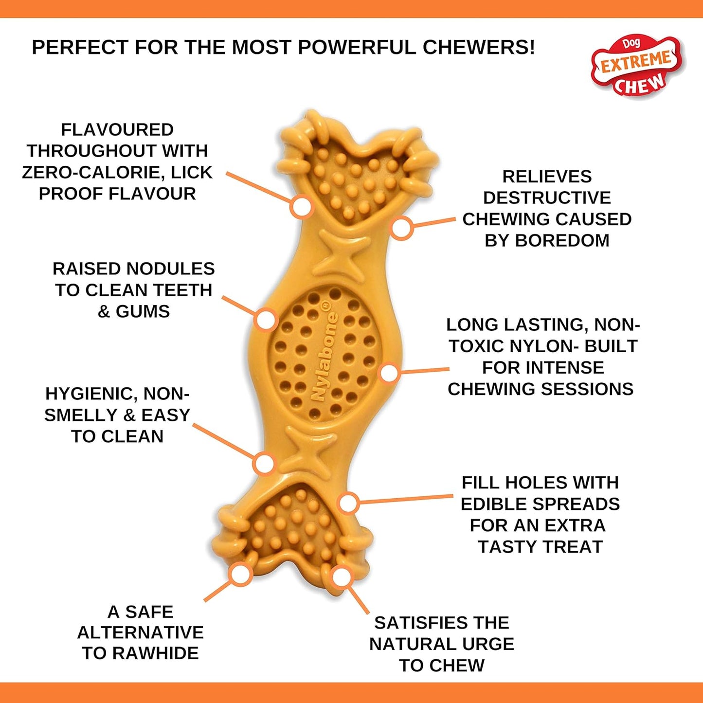 Nylabone Extreme Chew Fill It Treat Medium