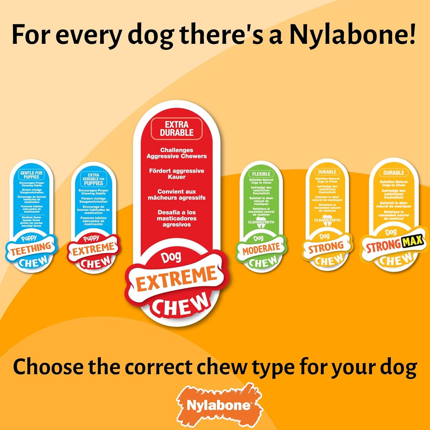 Nylabone Extreme Basted Bone Large