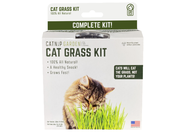 Multipet Catnip Garden Grass Kit – Grow Your Own Cat Grass for Indoor Cats