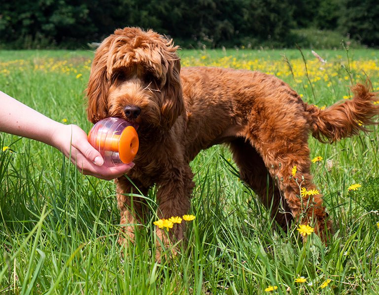 Rosewood Giggling Treat Ball