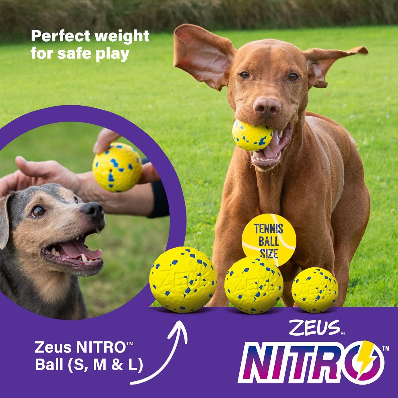 Zeus Nitro Weighted Ball Large 7.6cm