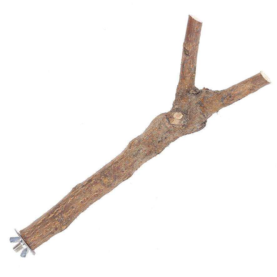 The Bird House Branch Perch Medium