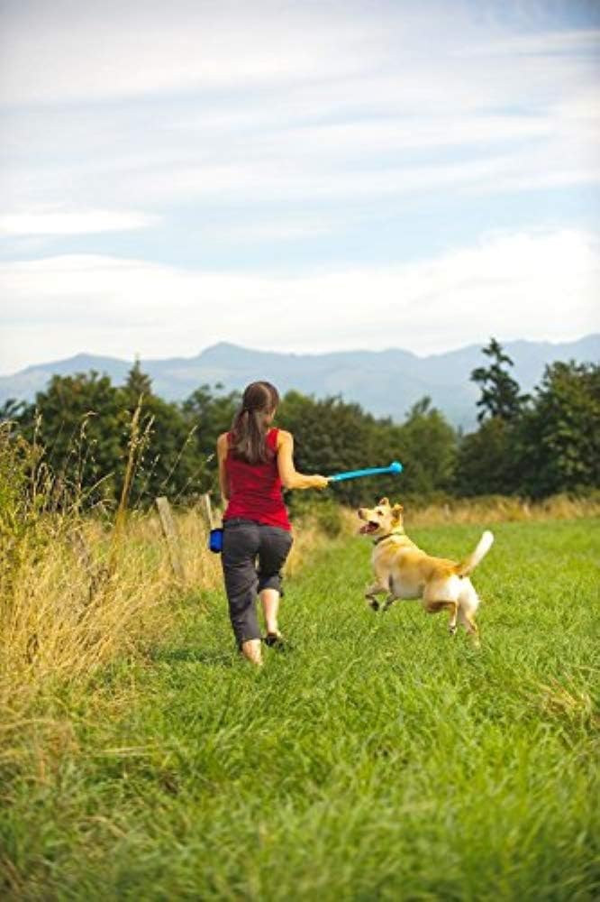 Chuckit! The Whistler Small 2 Pack