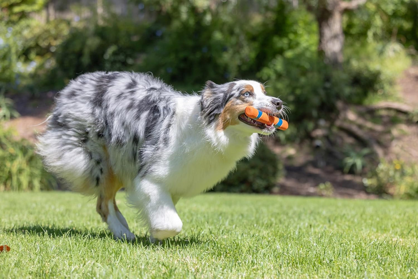 Chuckit! Ultra Fetch Stick