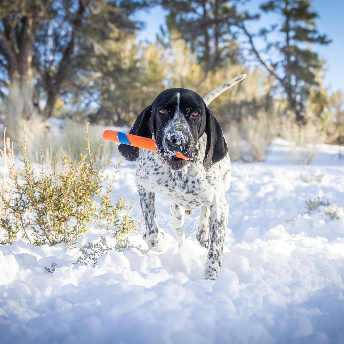 Chuckit! Ultra Fetch Stick