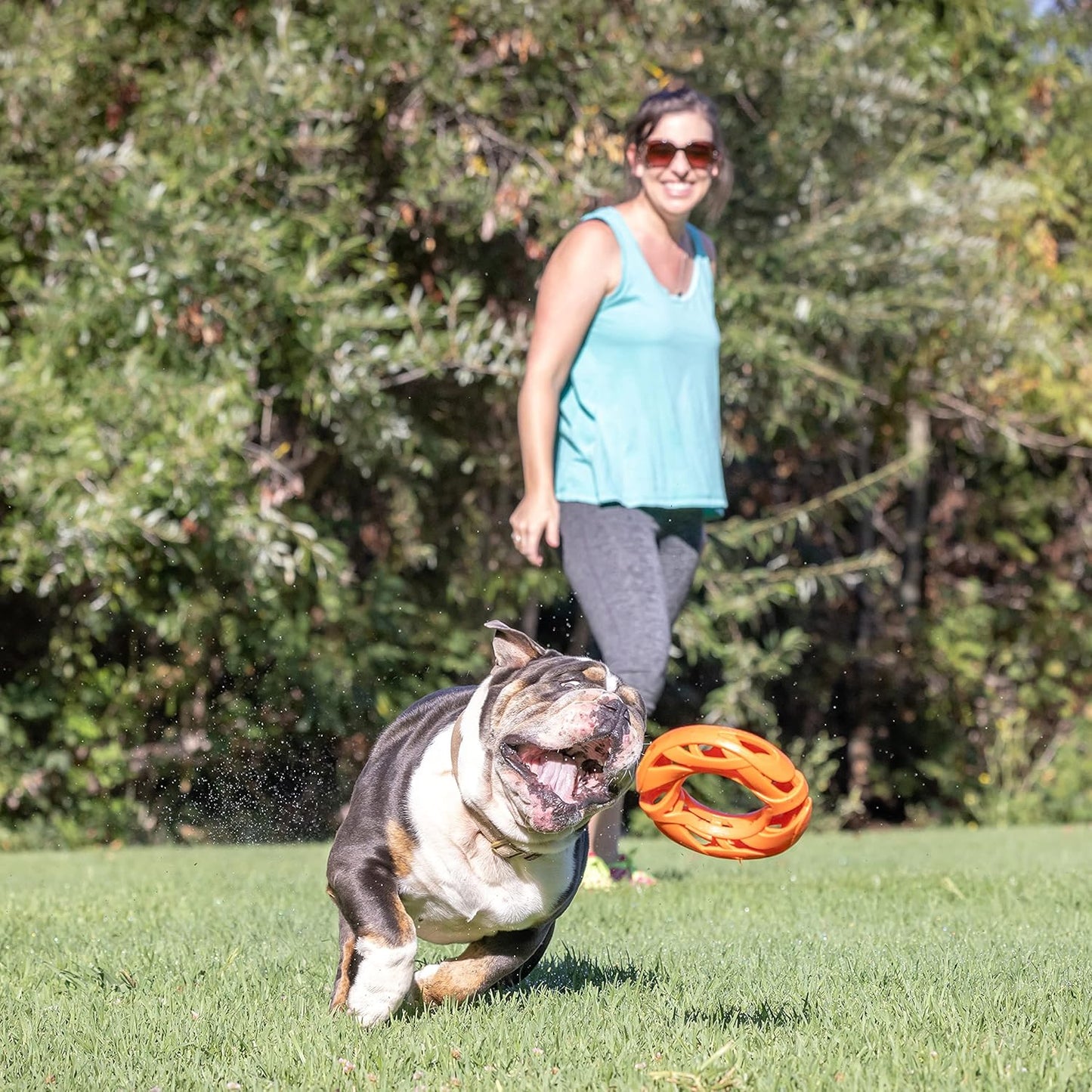 Chuckit! Air Fetch Wheel