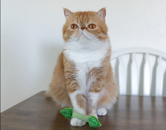 Catstages Fresh Breath Cat Mint Stick