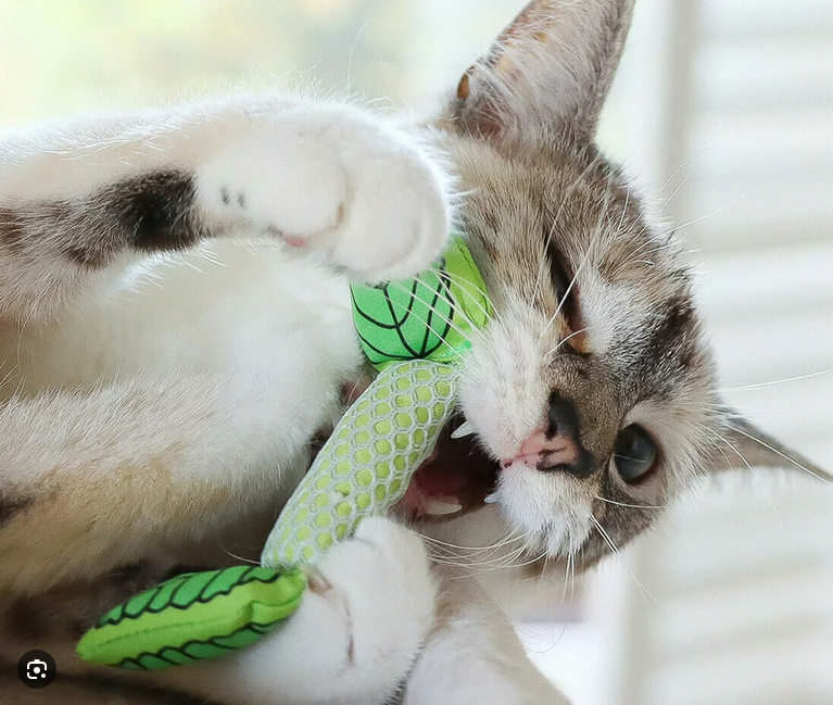 Catstages Fresh Breath Cat Mint Stick
