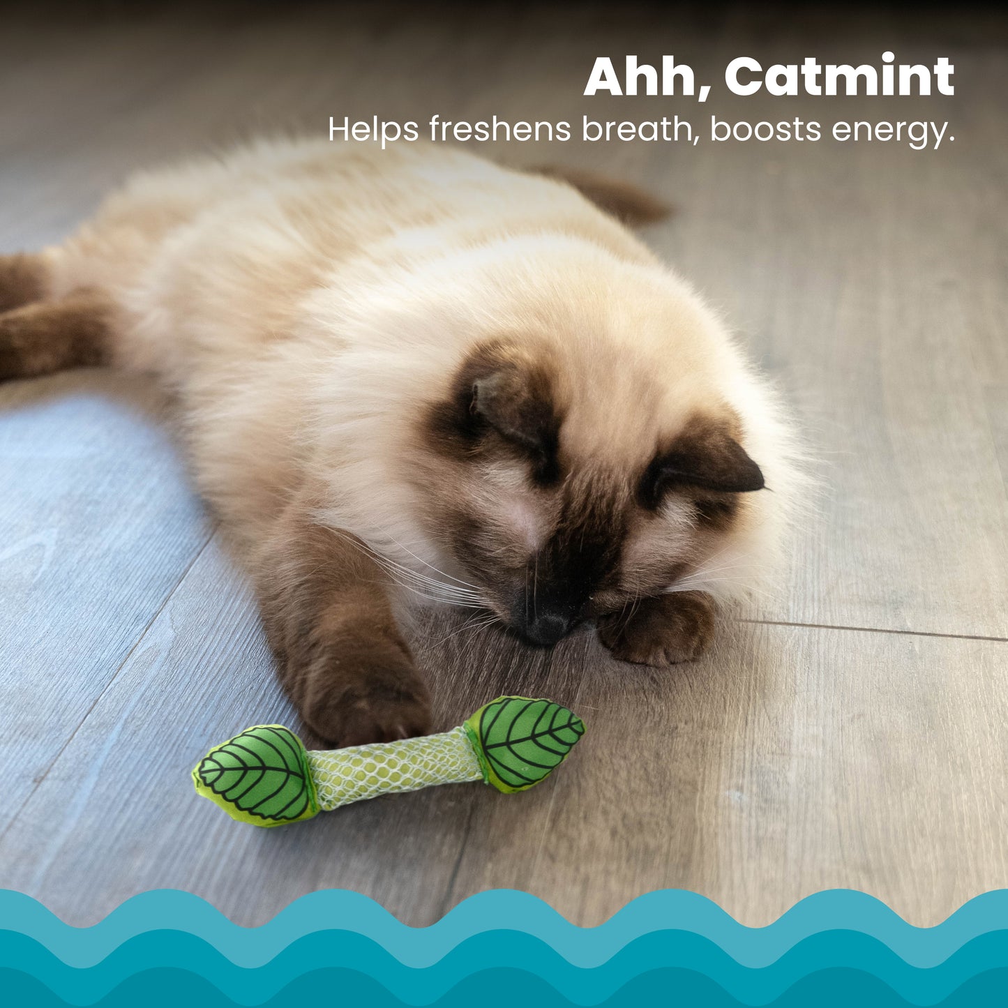 Catstages Fresh Breath Cat Mint Stick